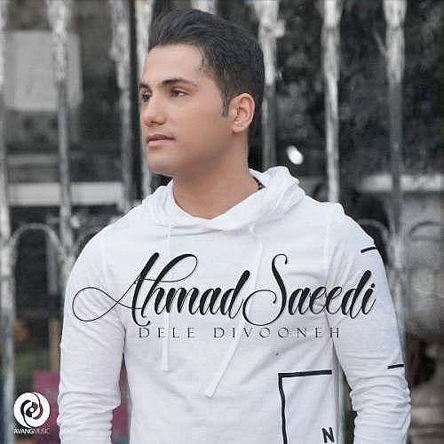 Cover artwork for Dele Divooneh by Ahmad Saeedi